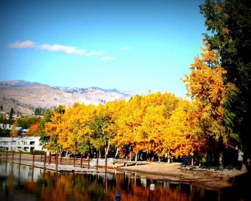 Wapato Point – photo 13