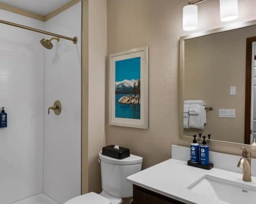 WorldMark Tahoe III – photo 52