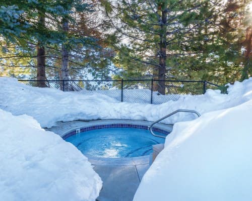 WorldMark Tahoe III – photo 37