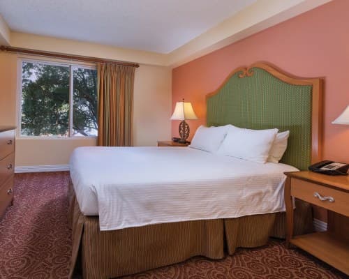 Shell Vacations Club @ Desert Rose Resort – photo 19