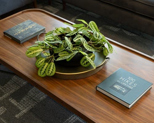 Hotel Vance, a Tribute Portfolio Hotel by Marriott – photo 27