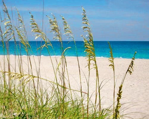 A Place at the Beach III - 2 Nights – photo 29