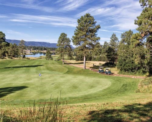WorldMark Pagosa – photo 17