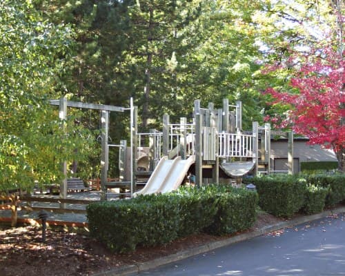 Whispering Woods – photo 11