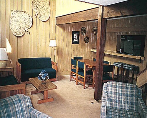 Stony Court at Bryce Mountain – photo 2