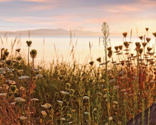WorldMark Birch Bay - 4 Nights – photo 15