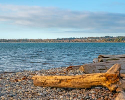 WorldMark Birch Bay - 4 Nights – photo 42