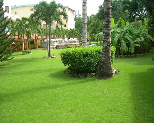 Acuarium Suite Resort – photo 7