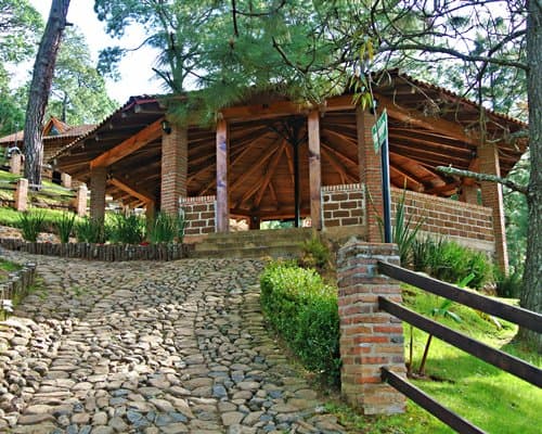 Bosque La Luna - 4 Nights – photo 6
