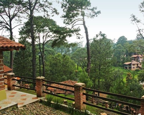 Bosque La Luna - 4 Nights – photo 10