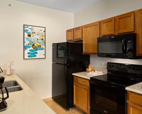 WorldMark Lake of the Ozarks – photo 48