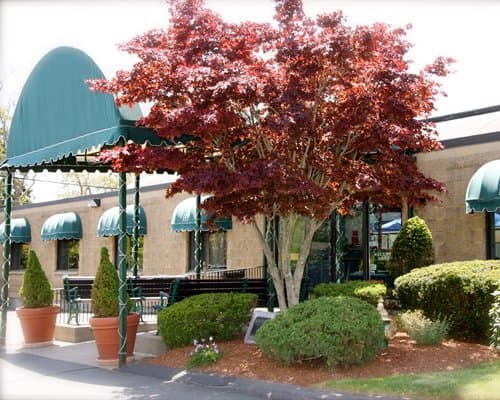 Holly Tree Resort - 4 Nights – photo 13