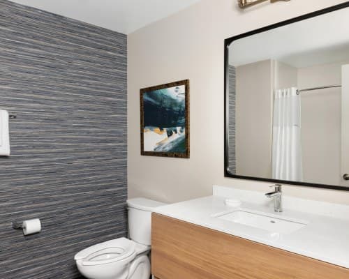 Club Wyndham Atlanta – photo 15