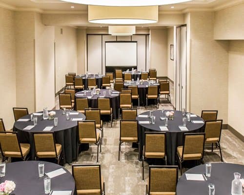 Cambria Chicago - 3 Nights – photo 13